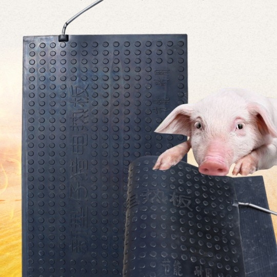 猪用电热板能提高养殖效益吗？
